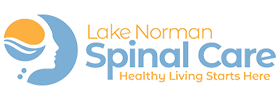 Lake Norman Spinal Care logo