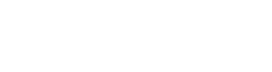Lake Norman Spinal Care White Logo
